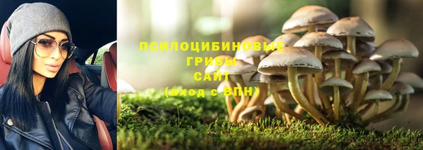 марки lsd Анжеро-Судженск